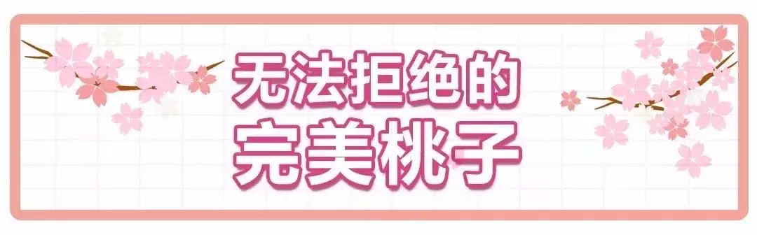 清甜爽脆的台湾甜桃已开采摘啦！30元任摘任吃！速度约起来！