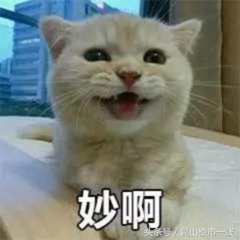 未来最牛城市,未来三年的最牛板块