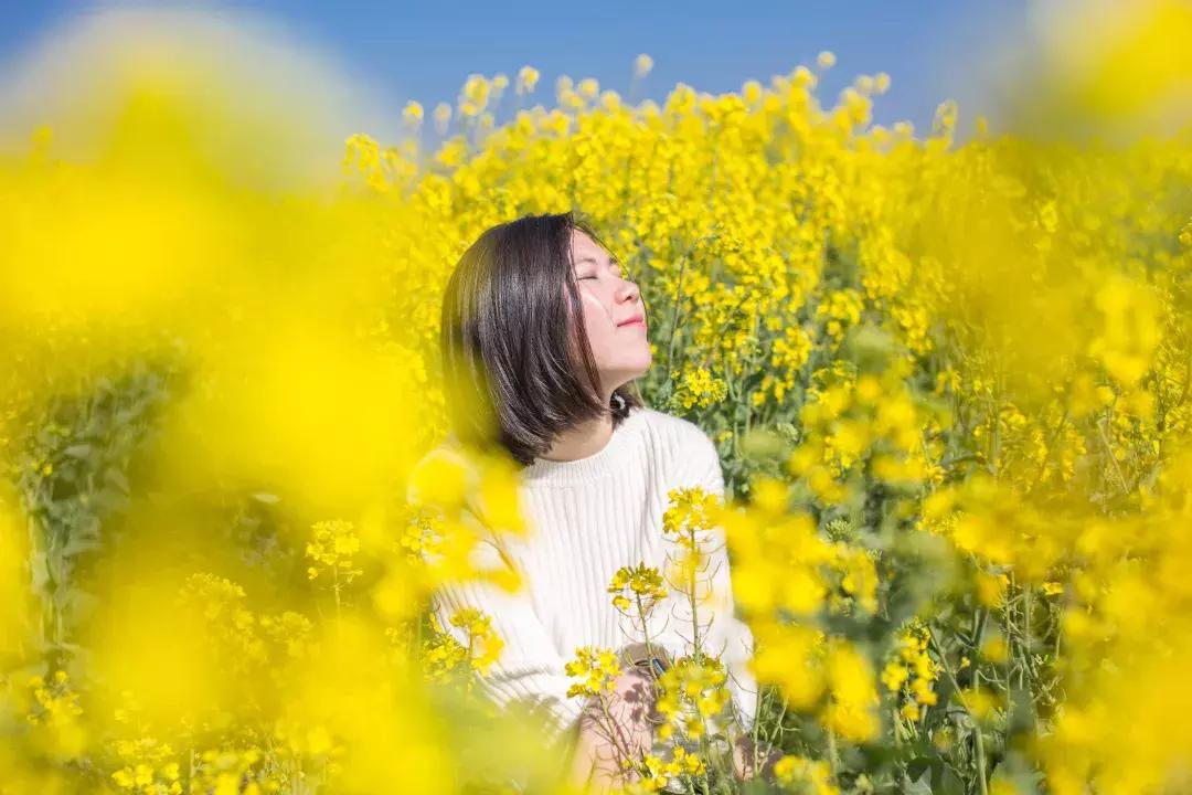 大理每个季节都很美,在大理每天都是那么的美好