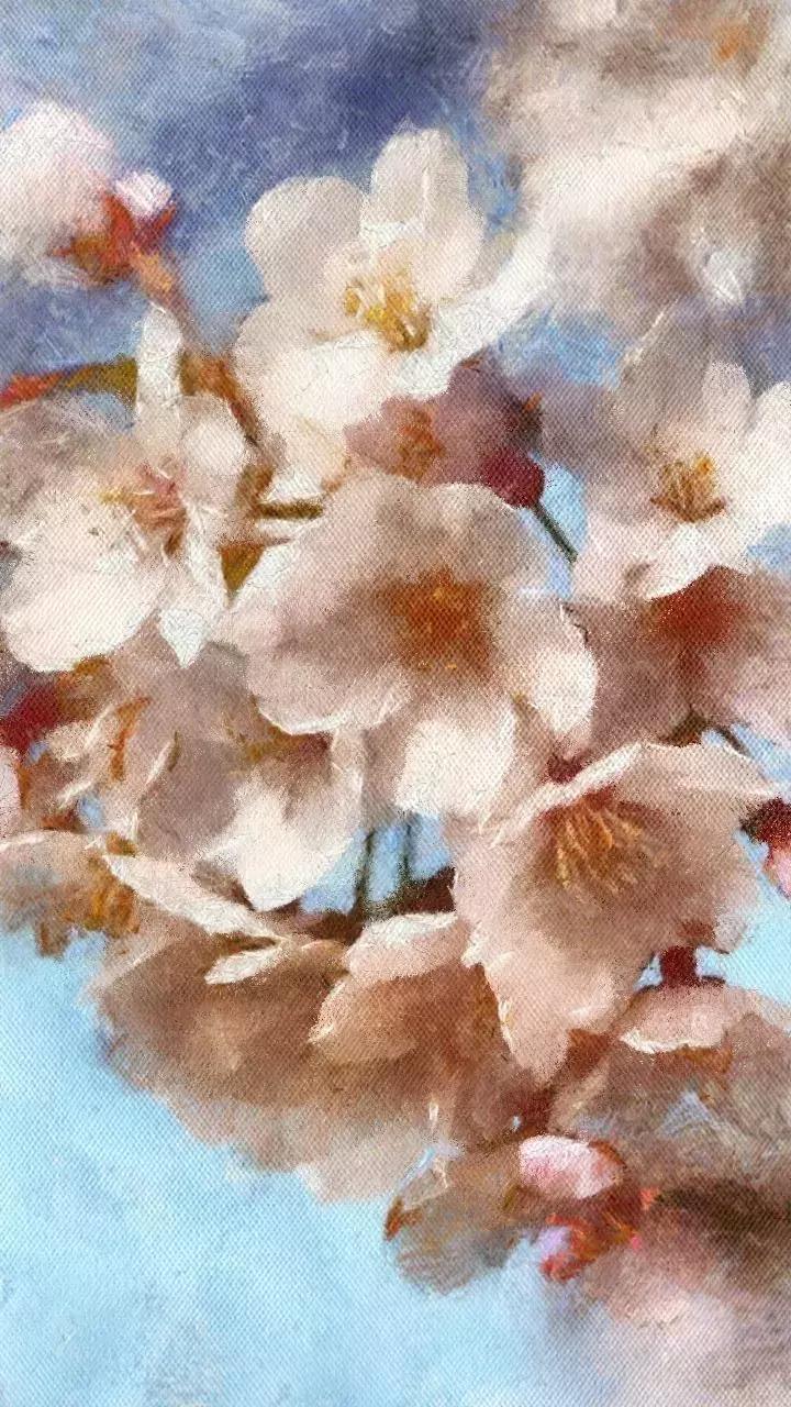 大理每个季节都很美,在大理每天都是那么的美好