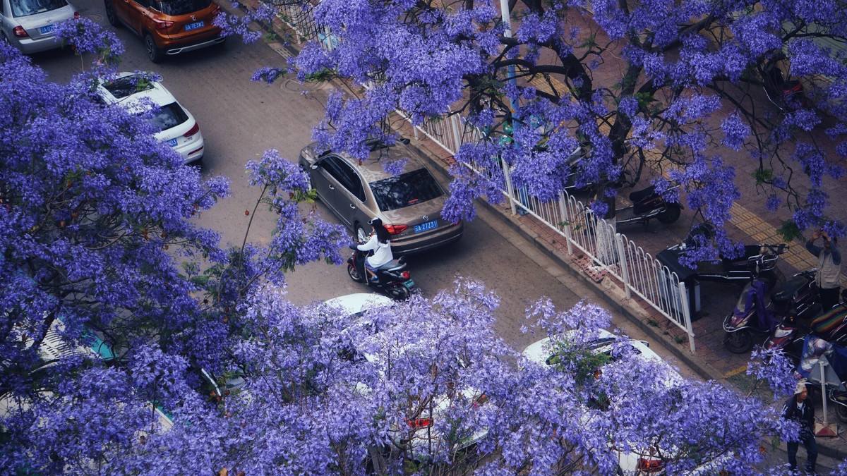 大理每个季节都很美,在大理每天都是那么的美好