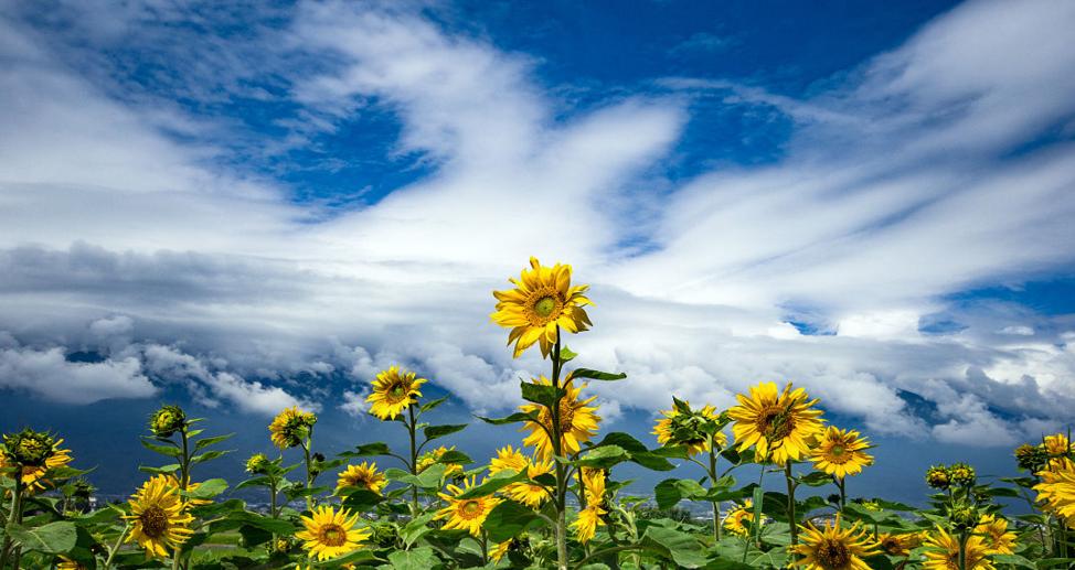 大理每个季节都很美,在大理每天都是那么的美好