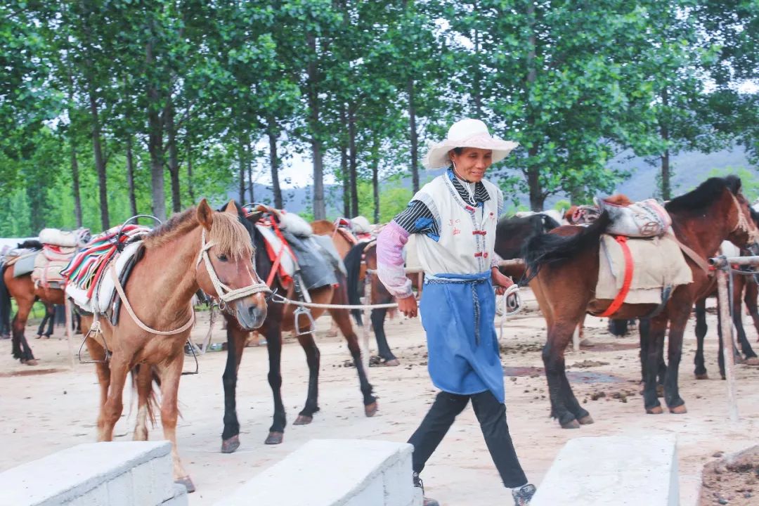 一个人旅行云南丽江,一个人去云南丽江旅行攻略图