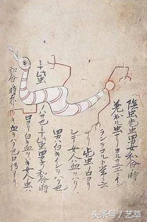 四百年前，日本人给寄生虫画了套漫画？！｜艺术画册