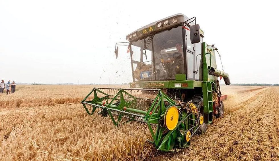 回想四十年前的我,回忆四十年的我