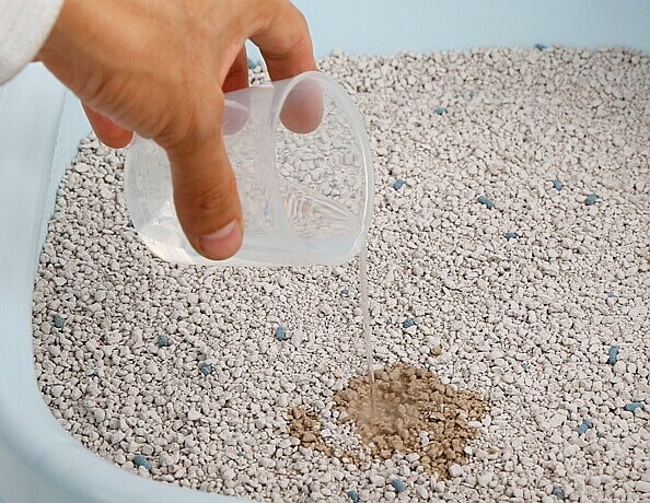 龙猫尿布有用吗 (龙猫厕所尿布)