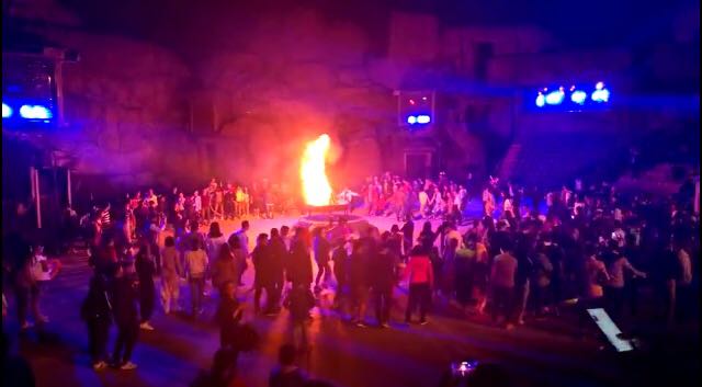 福建儿时的记忆山上的野果,福建山上秋天野果