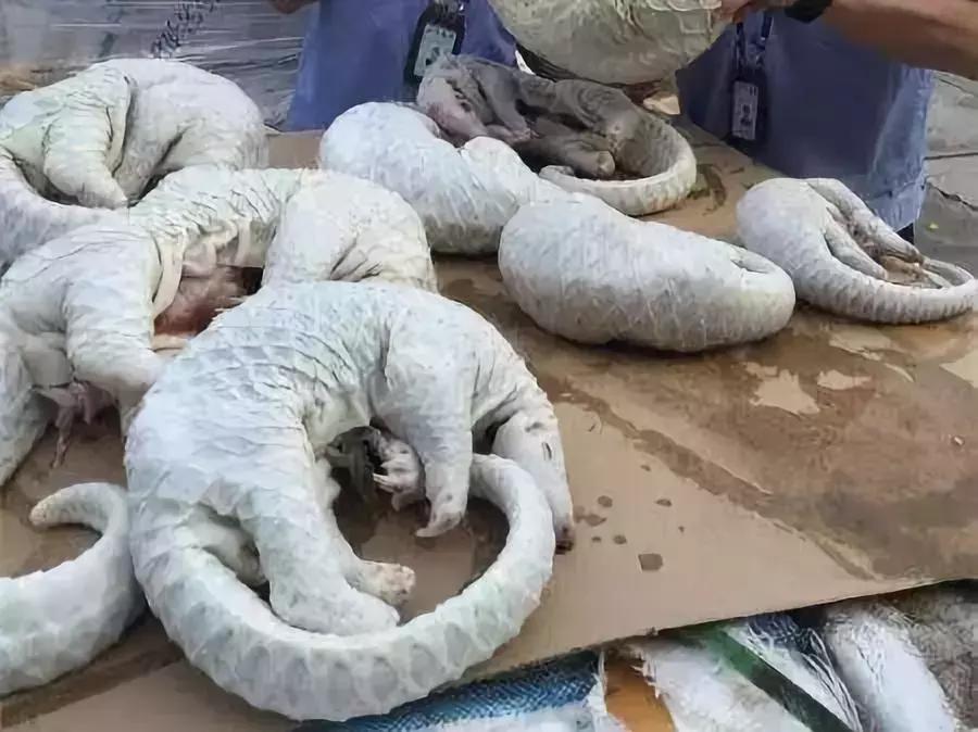 代购究竟有多暴利,代购骗局揭秘朋友圈