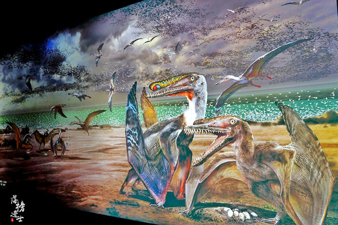 哈密市博物馆里的干尸长什么样,哈密博物馆的历史背景