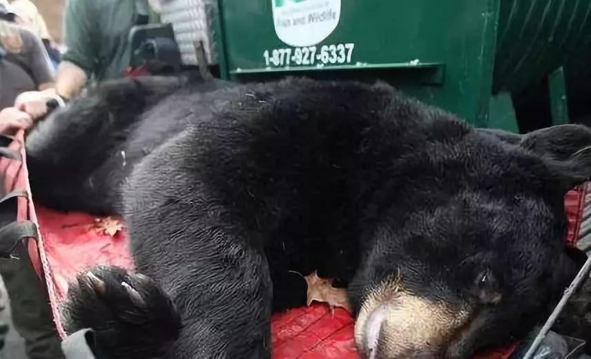 代购骗局揭秘朋友圈,代购背后的骗局