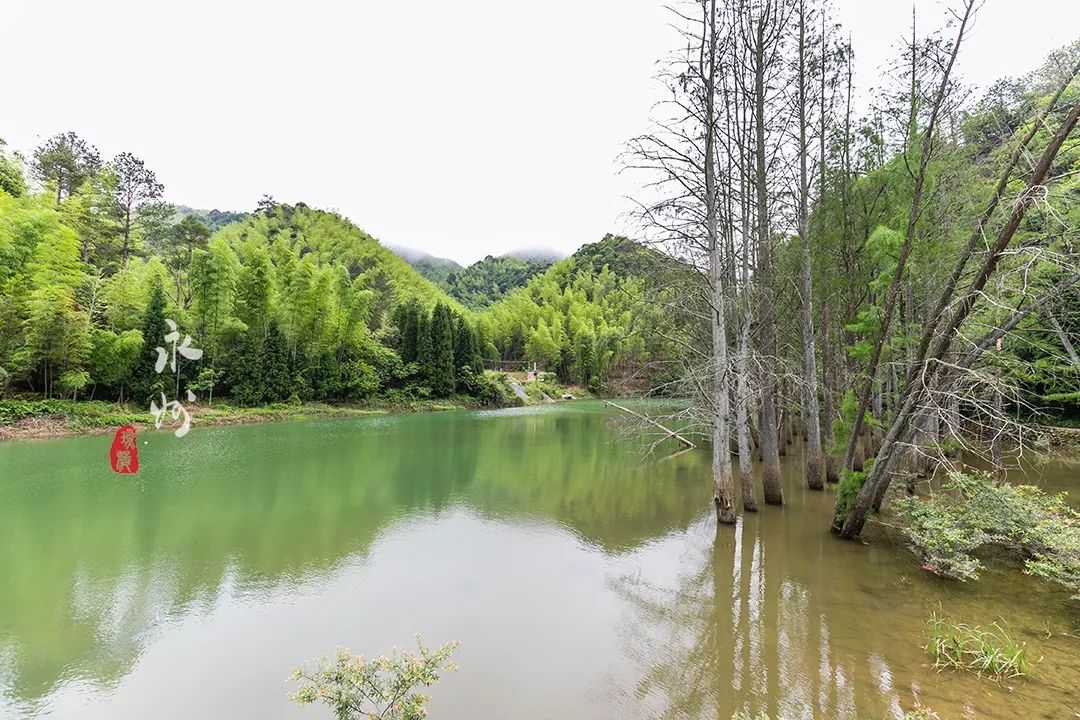 台湾阳明山之前的名字你去过吗,打卡千年永州胜地阳明山