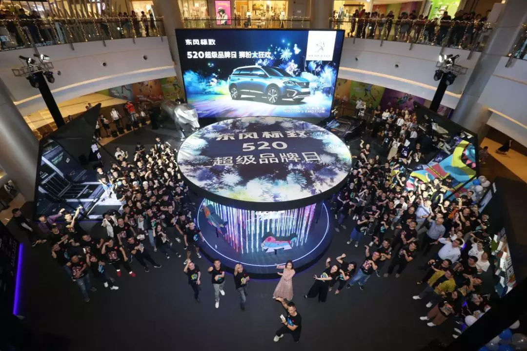 1对255万的表白，小狮子的爱你感受到吗？