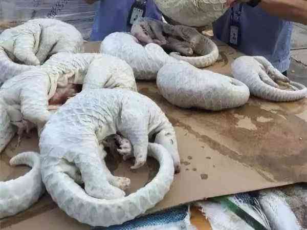 代购圈黑幕,代购究竟有多暴利