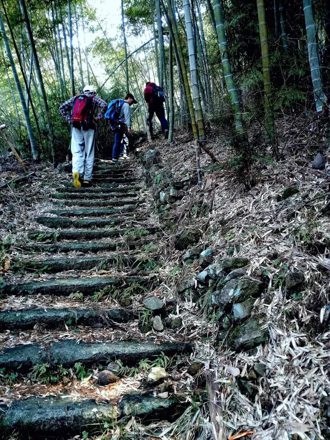 如何把照片拍得更好,你可以拍得更好的英文