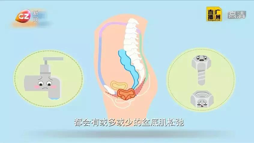 子宫健康怎么调理,子宫的肉掉出是什么原因