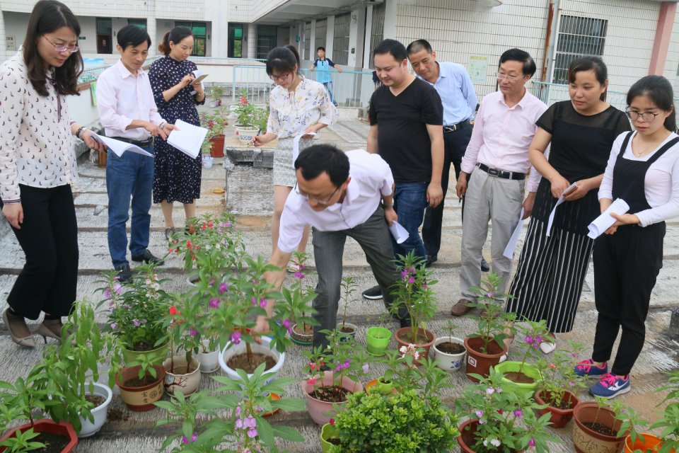 石化一小2024研学去哪,安庆石化一小教学开放日