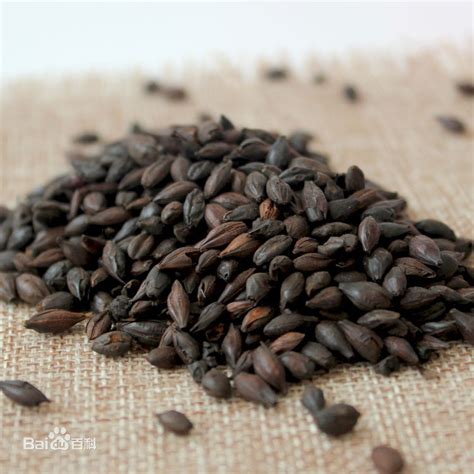 喉咙吞咽疼痛口苦口干,咽喉痛咽干口苦