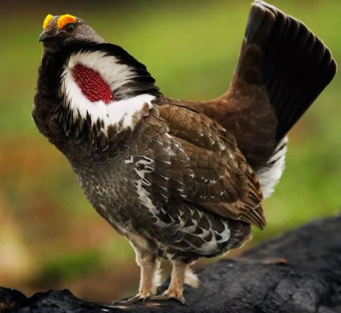 代购骗局揭秘朋友圈,朋友圈里卖低价服装的真相