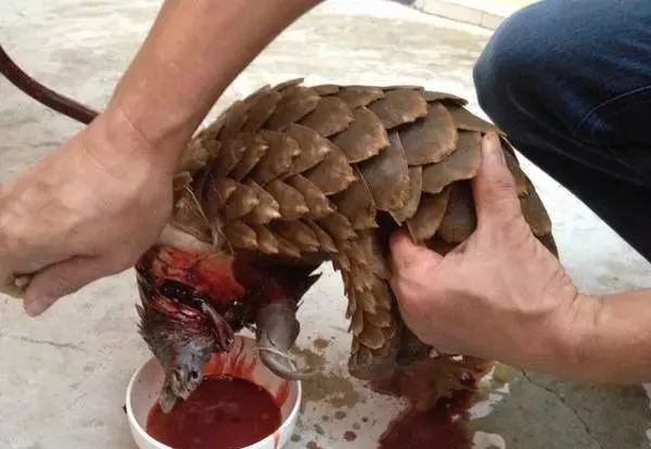 代购究竟有多暴利,代购骗局揭秘朋友圈