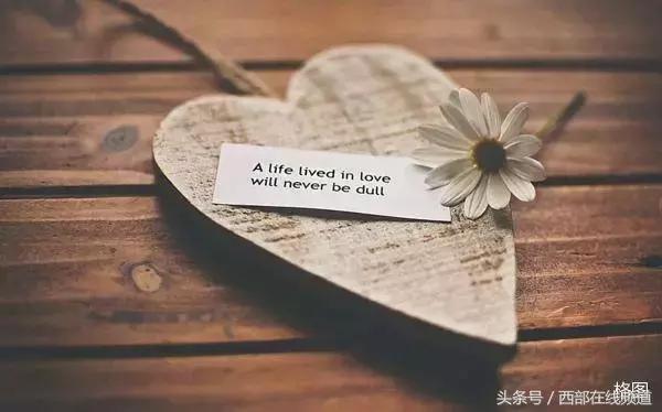 左岸最新作品,我见过的最浪漫的事情