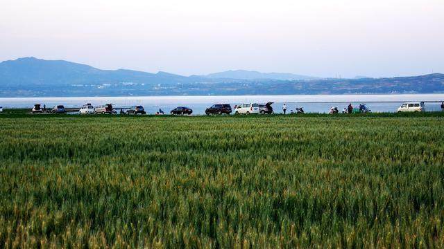 河南洛阳六个值得一去的景点,洛阳市以内最美的景区