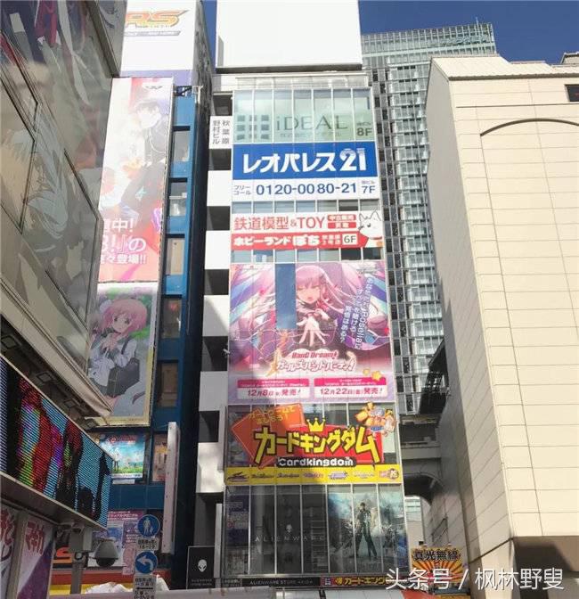 为什么秋叶原是动漫之城,为什么秋叶原那么贵