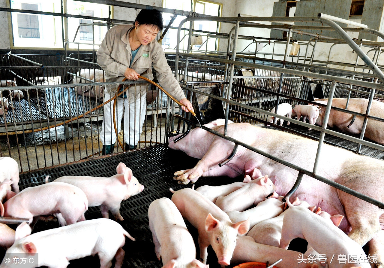 拨开迷雾看本质下一句是什么,拨开迷雾看迷雾