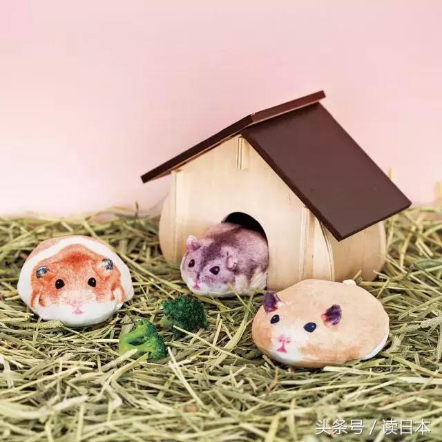 柴犬造型收纳袋?小兔子便当包?熊猫抱枕?你的小可爱都在这里~