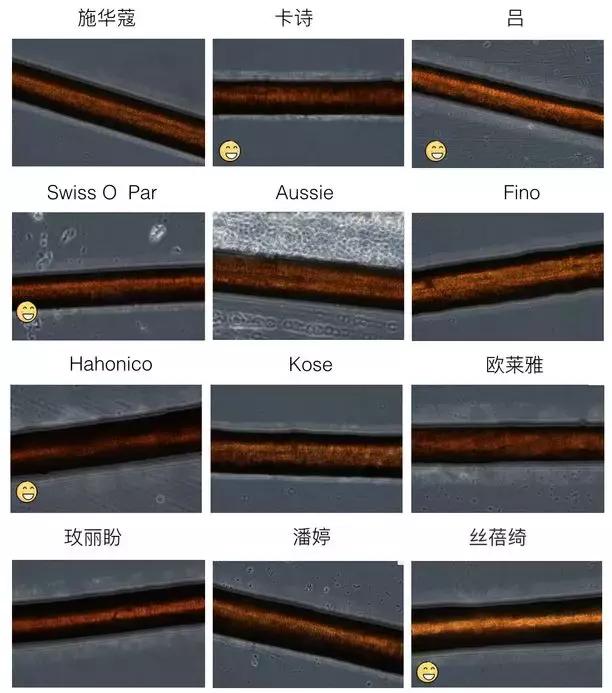 护发发膜推荐测评第一名,油头发膜推荐测评