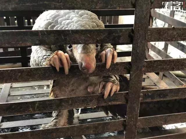 最可怕的代购骗局,朋友圈里卖低价服装的真相