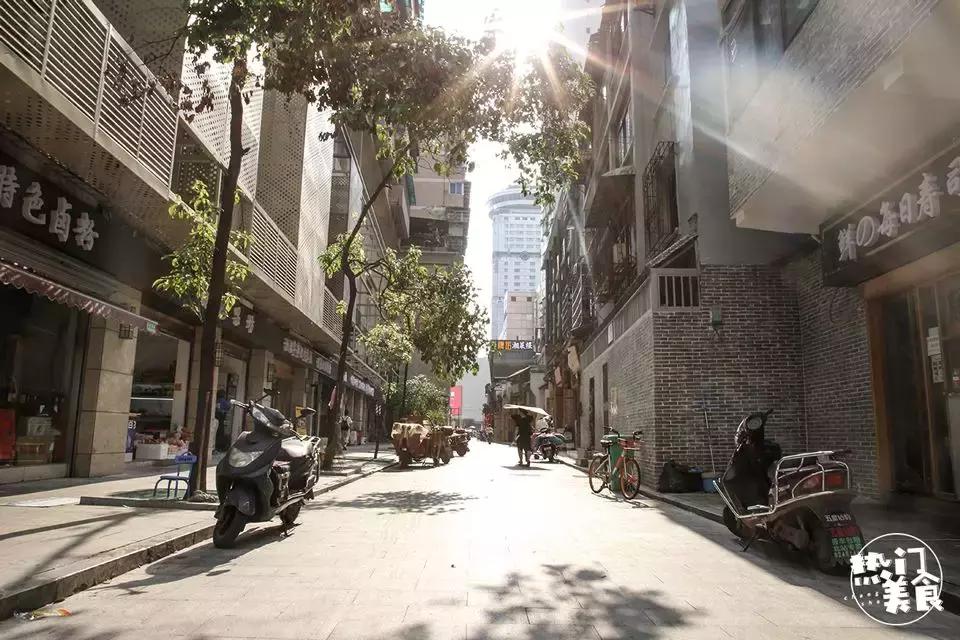 长沙九龙仓文化遗址,长沙九龙仓历史