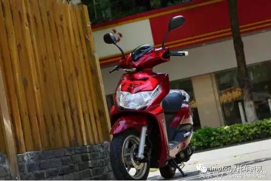 力帆125最新款,当家小花