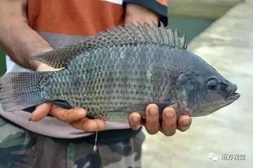 江湛铁路时刻表,江湛铁路线路图