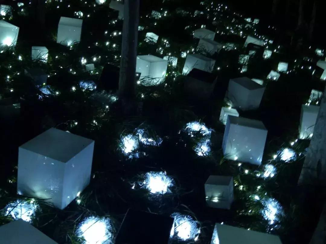 南艺你不知道的事,南艺的真实生活