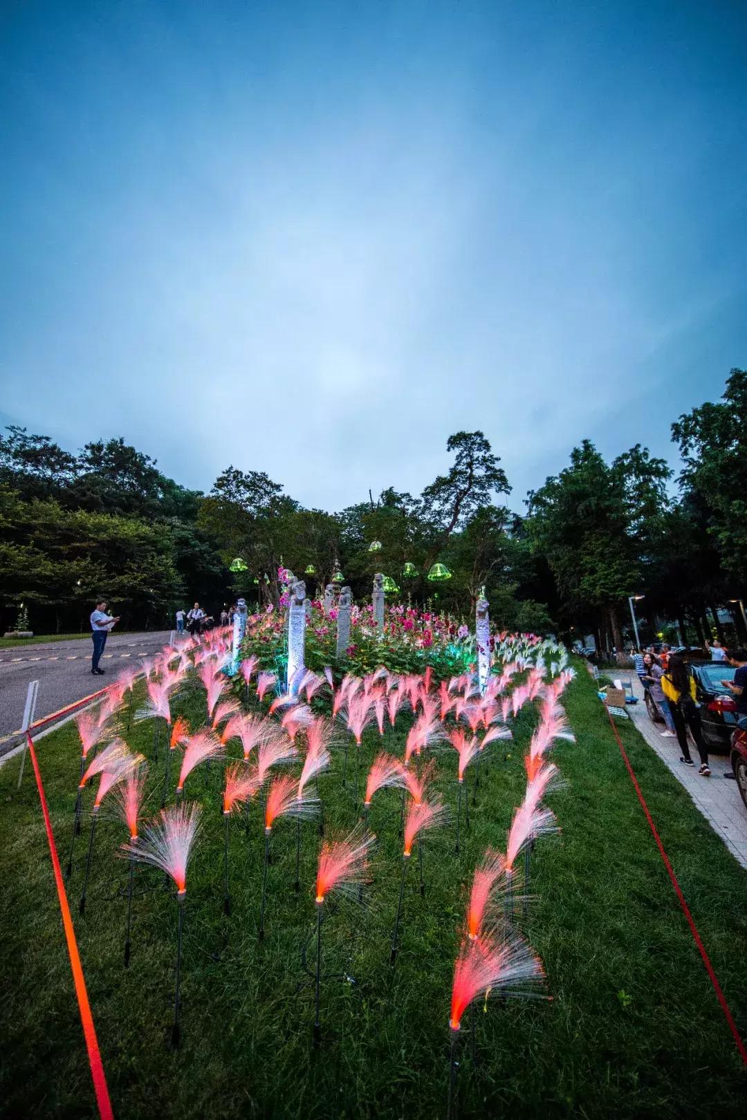 南艺爆料,南艺日常