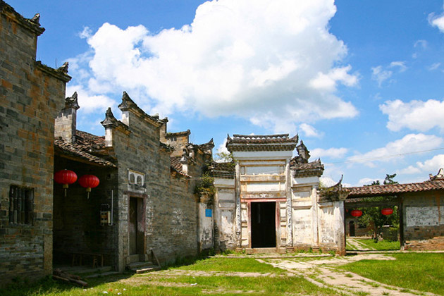 江西宁都小布茶,宁都县小布乡茶叶基地