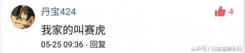 你给宠物起过哪些奇葩的名字？盘点那些让人印象深刻的宠物名字！