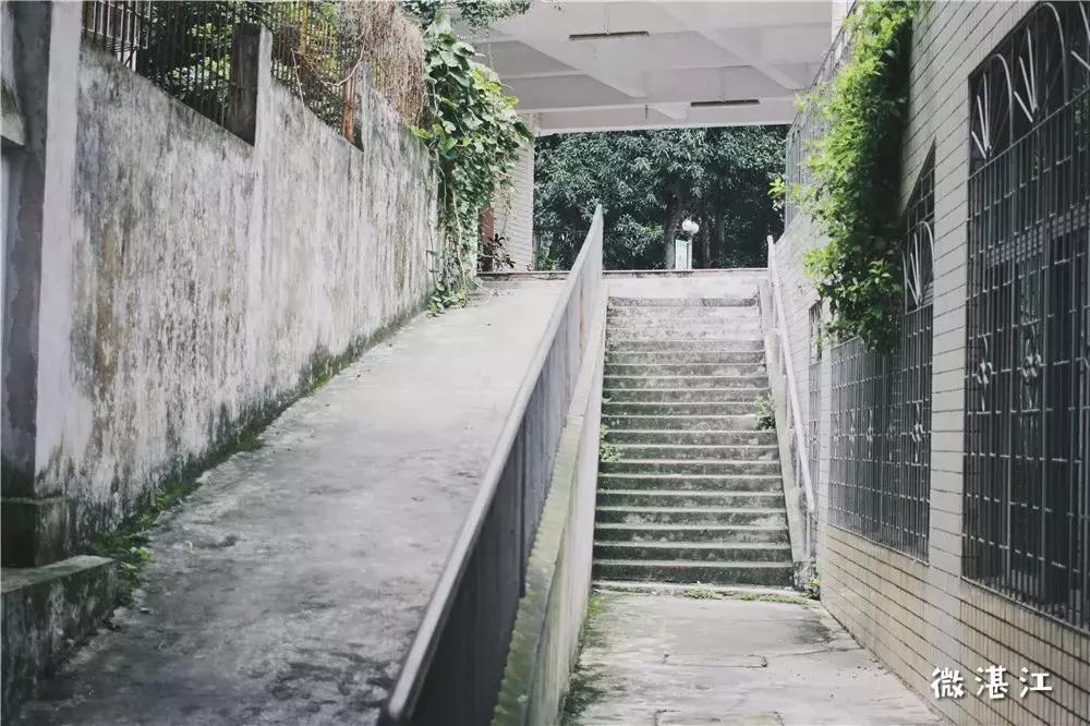 再见了四年级,再见了四年级的时光