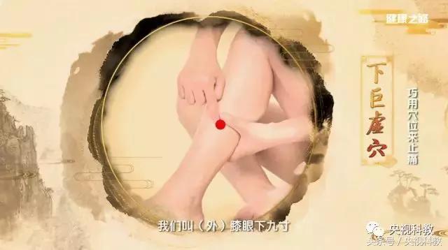 治肚子疼胃疼的穴位,肚子疼和胃痛按什么穴位图