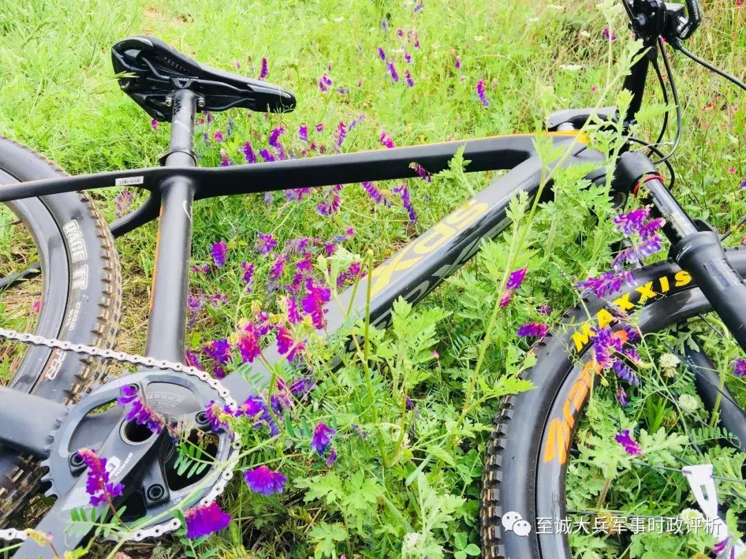 喜德盛山霸mt2与美利达挑战者900,喜德盛2020款山霸mt3碳纤维山地车