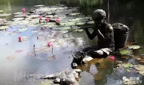 疯狂“五帝钱”,年年涨!它是怎么做到的?