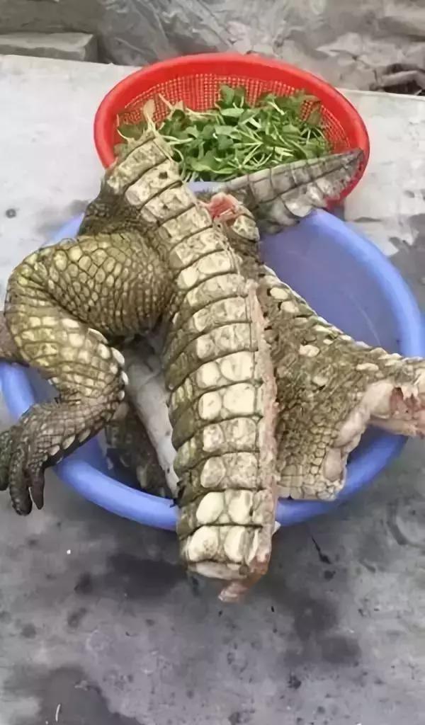 揭露各种海外代购真相,朋友圈代购真实案例