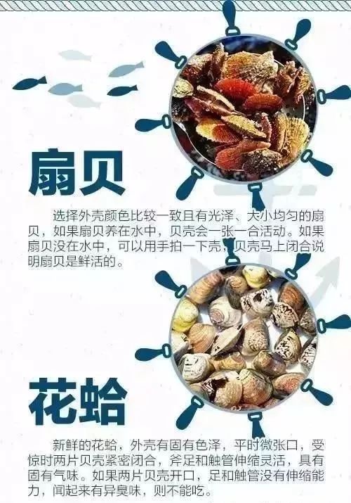 海鲜美食分享吃货日常,美食分享吃海鲜视频