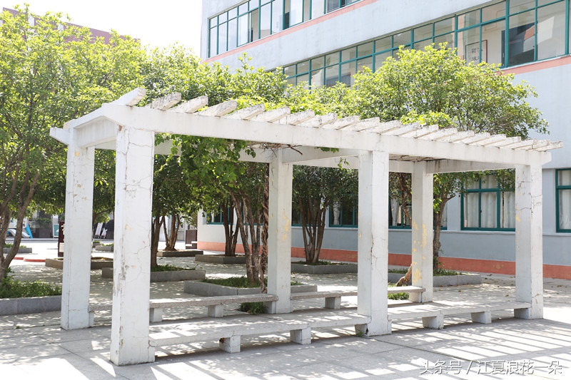 武汉市江夏实验小学,武汉市江夏区实验小学2019