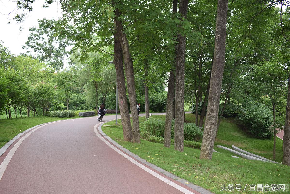 宜昌保利林语溪8号楼,宜昌保利林语溪哪幢楼比较好