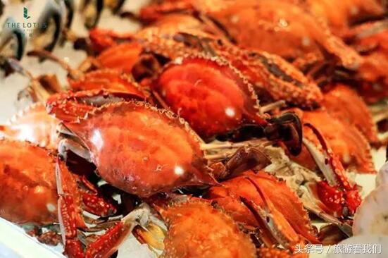 重庆六一亲子游十佳去处,威海旅游攻略亲子游六一