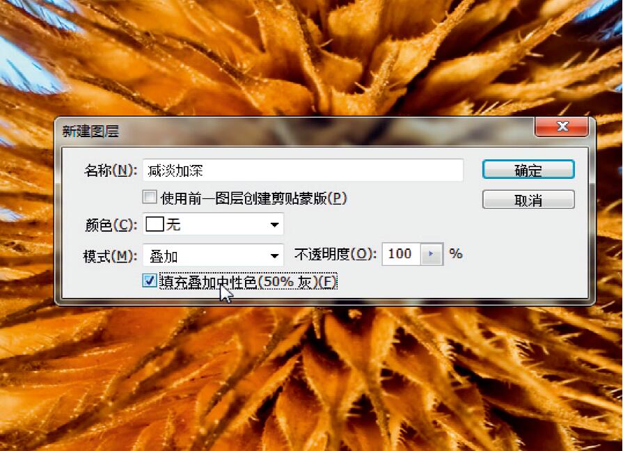 微距摄影后期合成,微距照片景深合成
