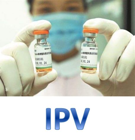 盐山家长们！脊灰灭活疫苗（IPV）免费补种啦！