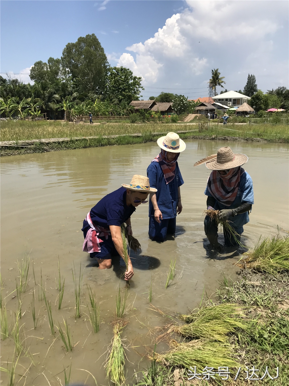 清迈民谣小清新,清迈清新小院