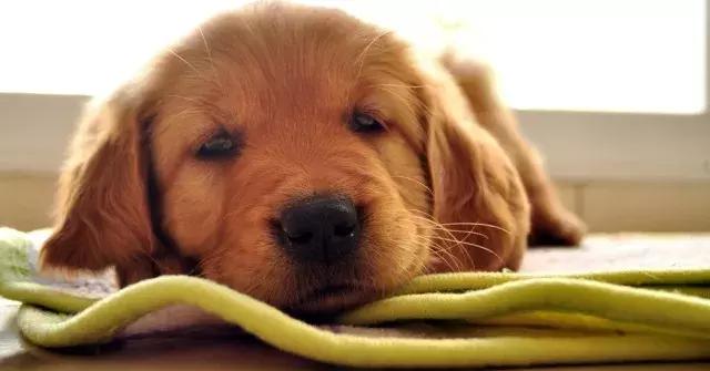 多数跑步伤痛正确处理都会痊愈，超过3个月仍然困扰你就要警惕了